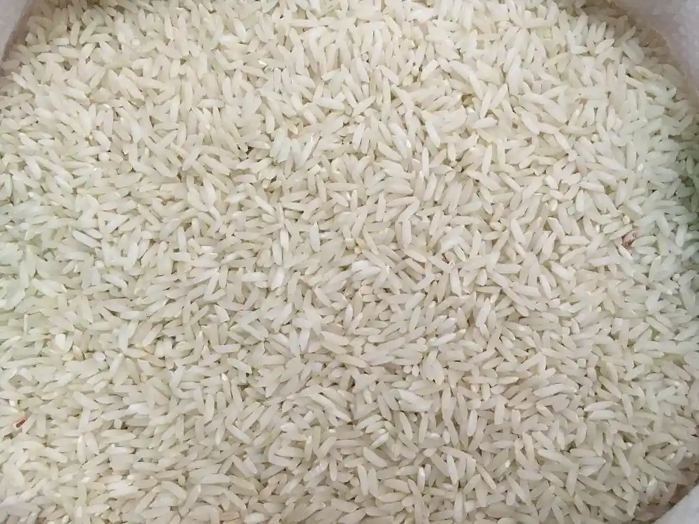  برنج فروشی شعبانی