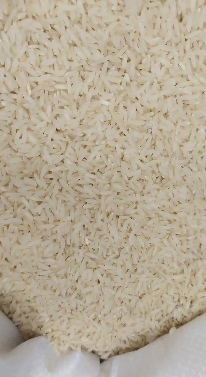  برنج گلستان