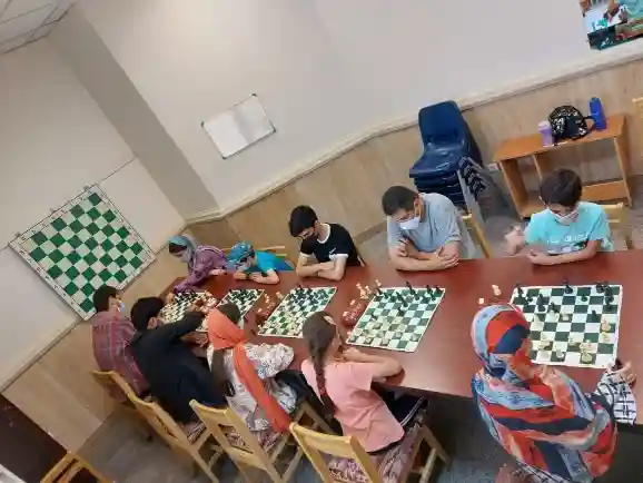  آکادمی شطرنج زندگی