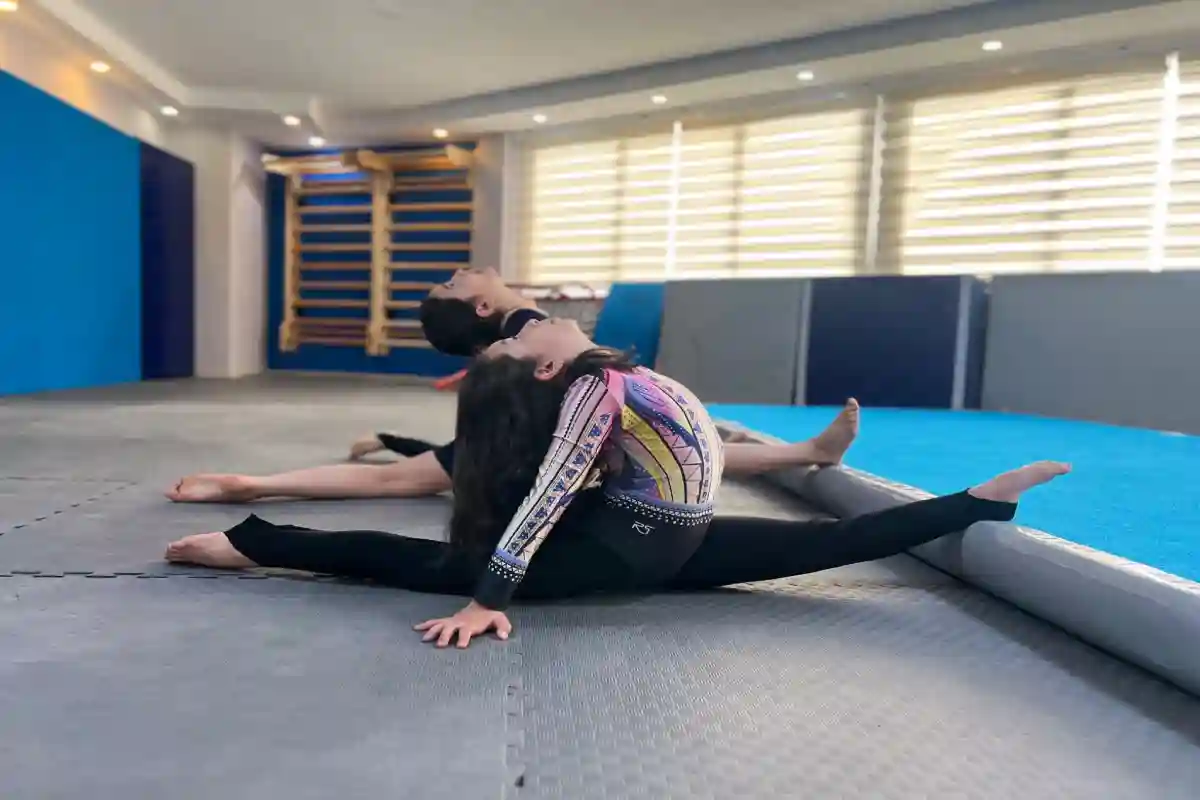 آکادمی ژیمناستیک صحرا