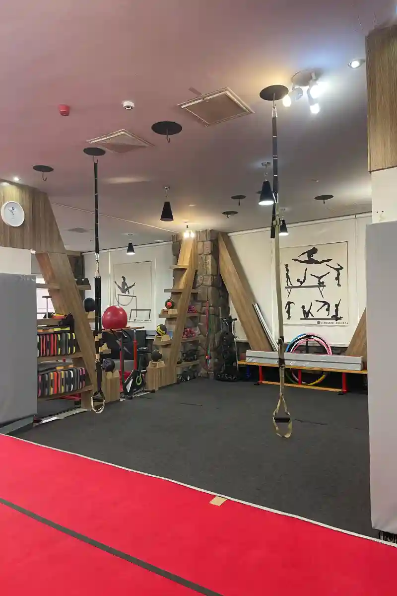 باشگاه ژیمناستیک آناهاتا