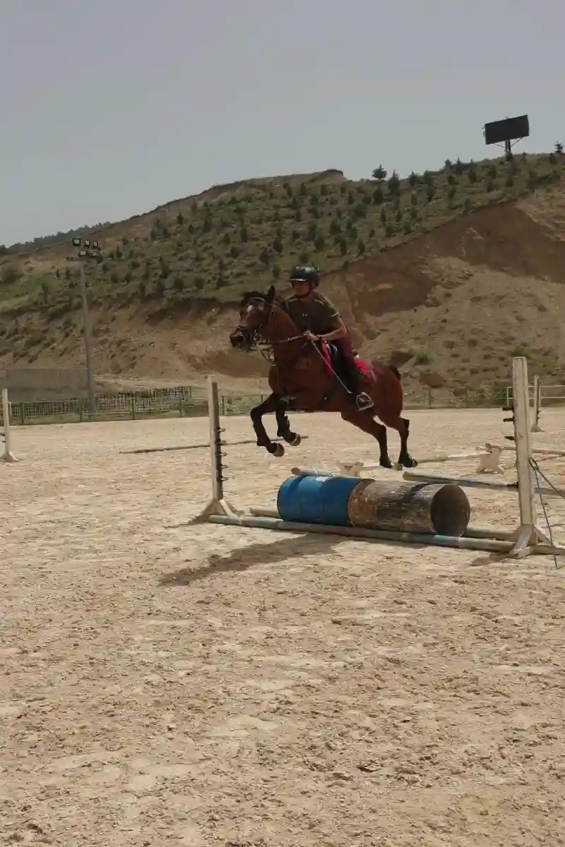 آموزش سوارکاری محمدرضا بیرانوندی