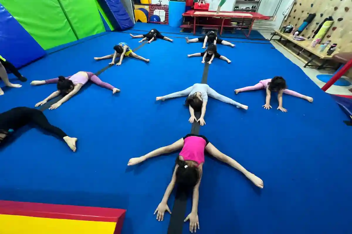 مدرسه ژیمناستیک ماهانا