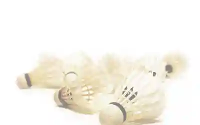 نیک بدمیینتون