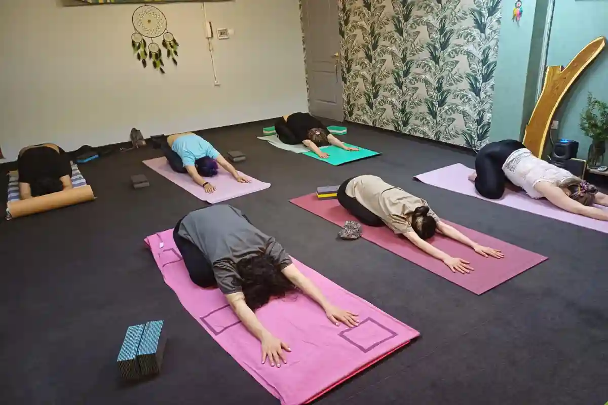 موسسه هنری حرکت و نمایش مواجهه