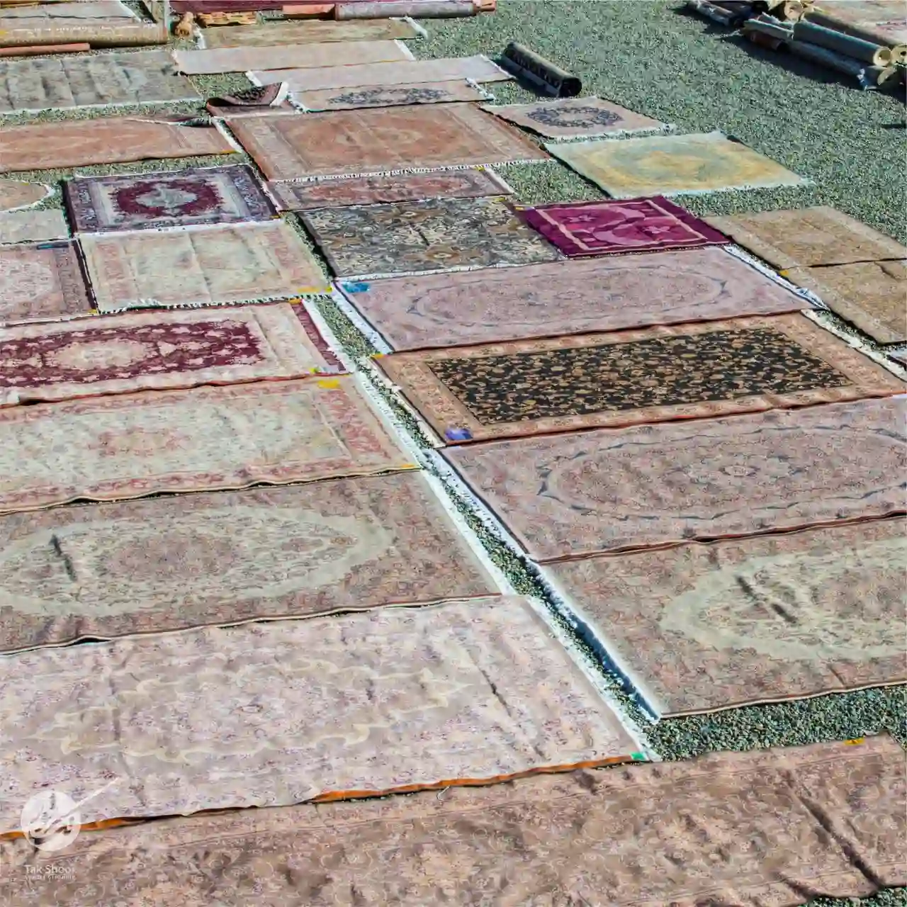 قالیشویی تک شور