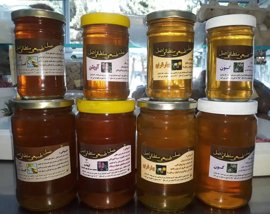 لبنیات و بستنی سنتی صدیقی