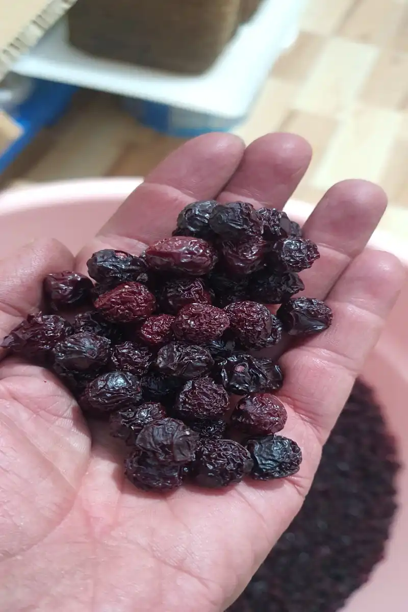 سلامتکده حکیم فروش اینترنتی