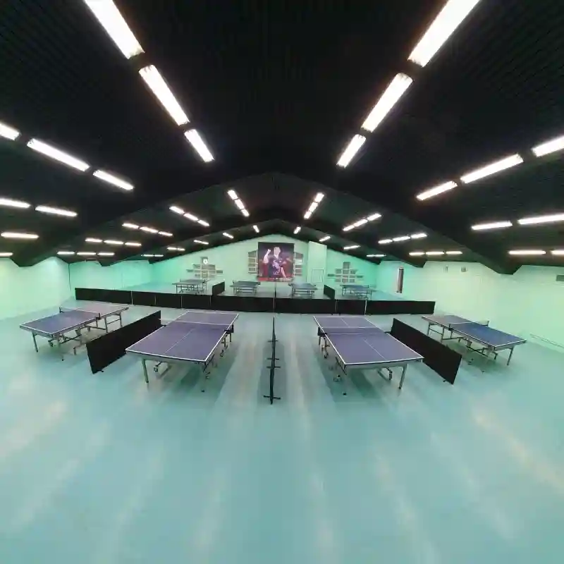 باشگاه پینگ‌پنگ سبز