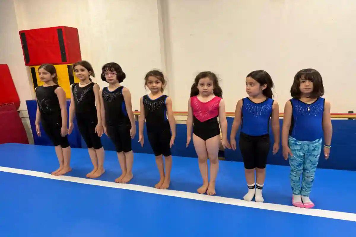 مدرسه ژیمناستیک ماهانا