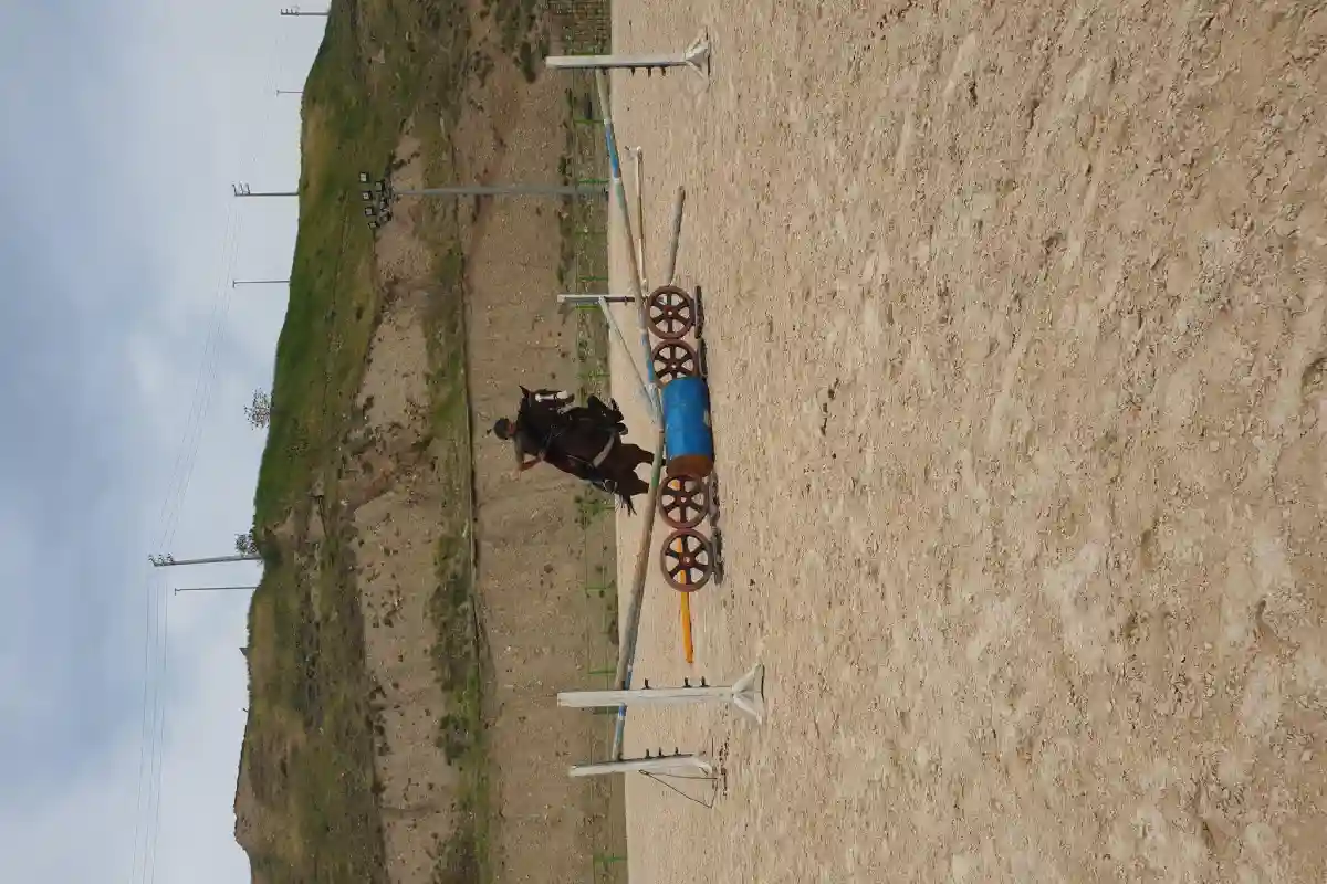 آموزش سوارکاری محمدرضا بیرانوندی