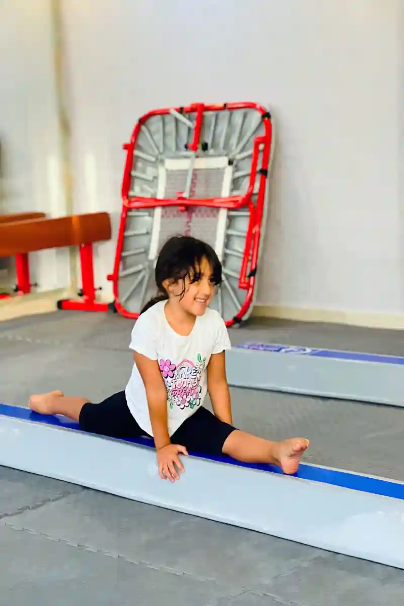 آکادمی ژیمناستیک صحرا