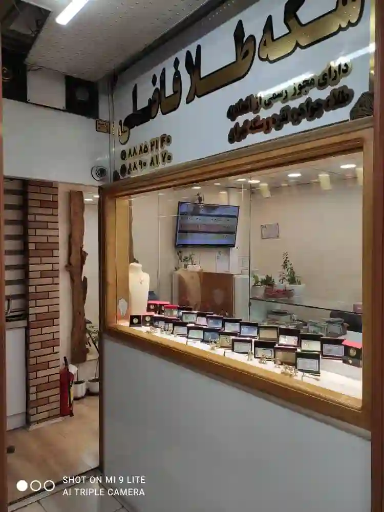 سکه طلا فاضلی