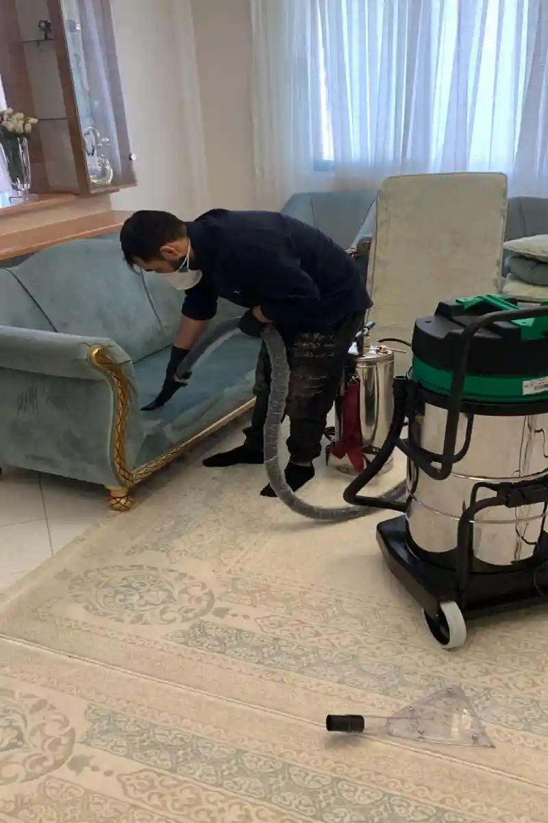 خشکشویی کاج (پیک رایگان در منطقه 1)