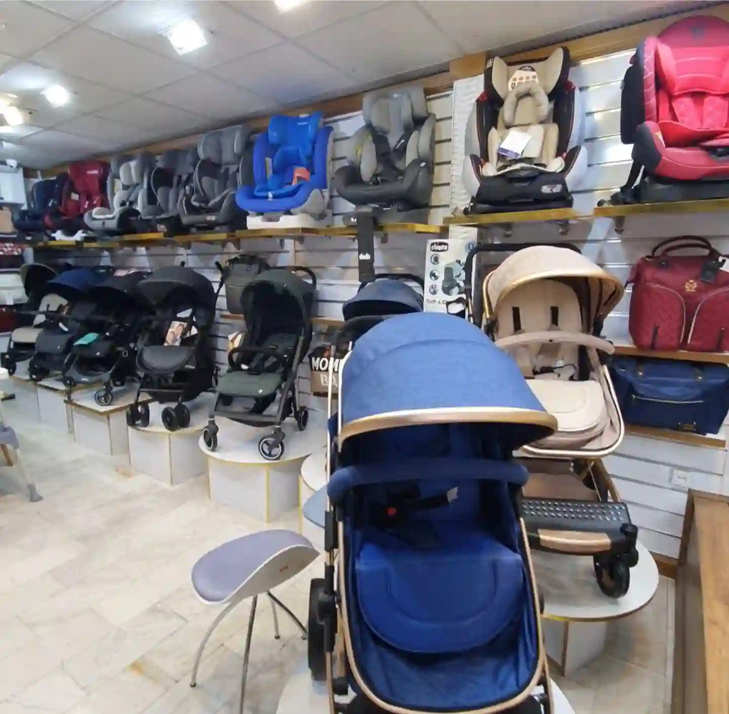 سیسمونی دلفین