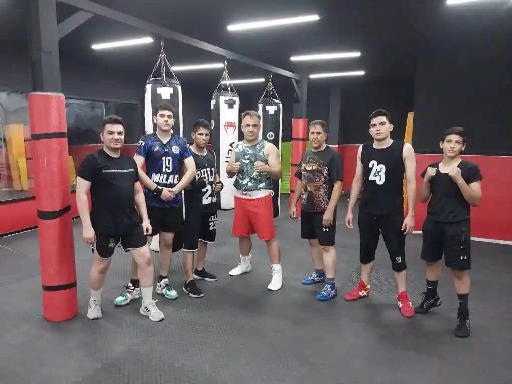 کلاب بوکس شاهین