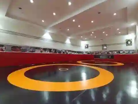  باشگاه کشتی معاونیان