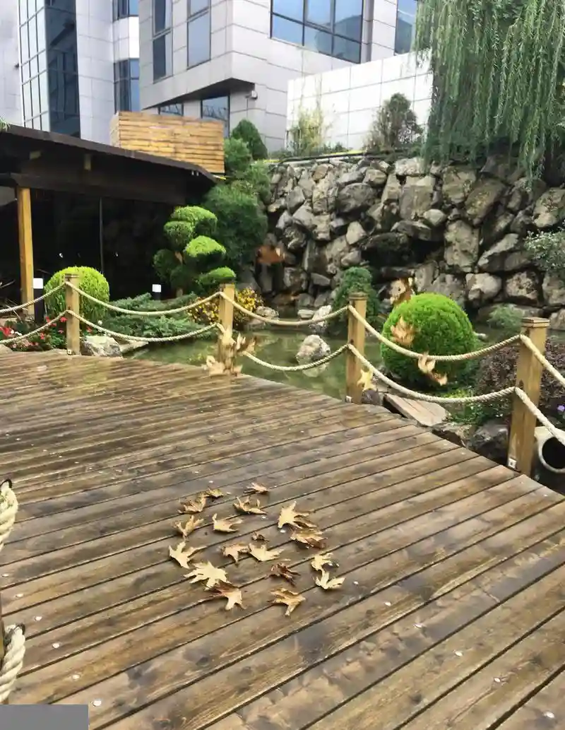 رستوران ترکیه ای دنر تُرد