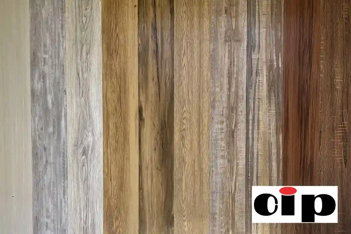 پخش کاغذ دیواری و کفپوش cip