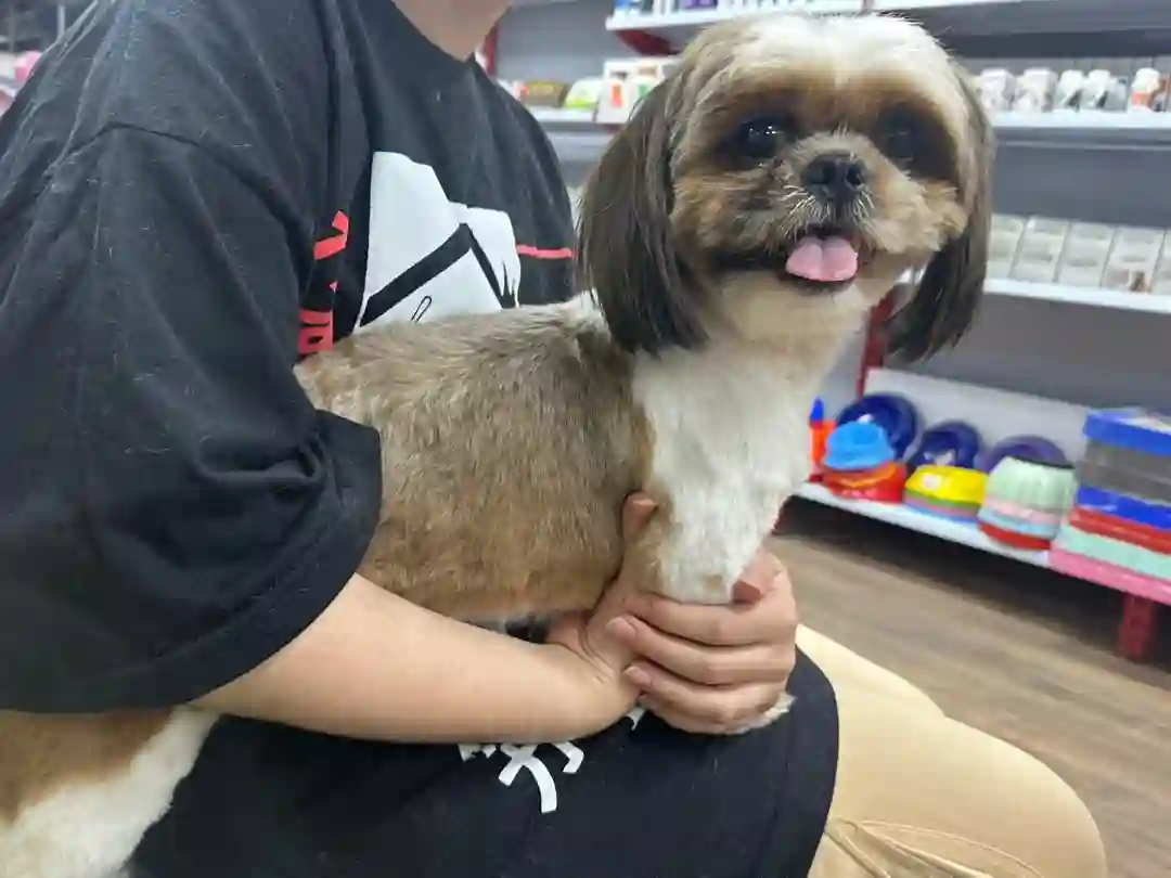 کلینیک دامپزشکی پت شاپ دنیا حیوانات