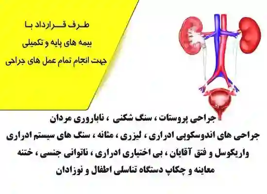 دکتر اسماعیل رزقی ملکی