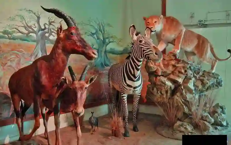 موزه طبیعت و حیات وحش دارآباد