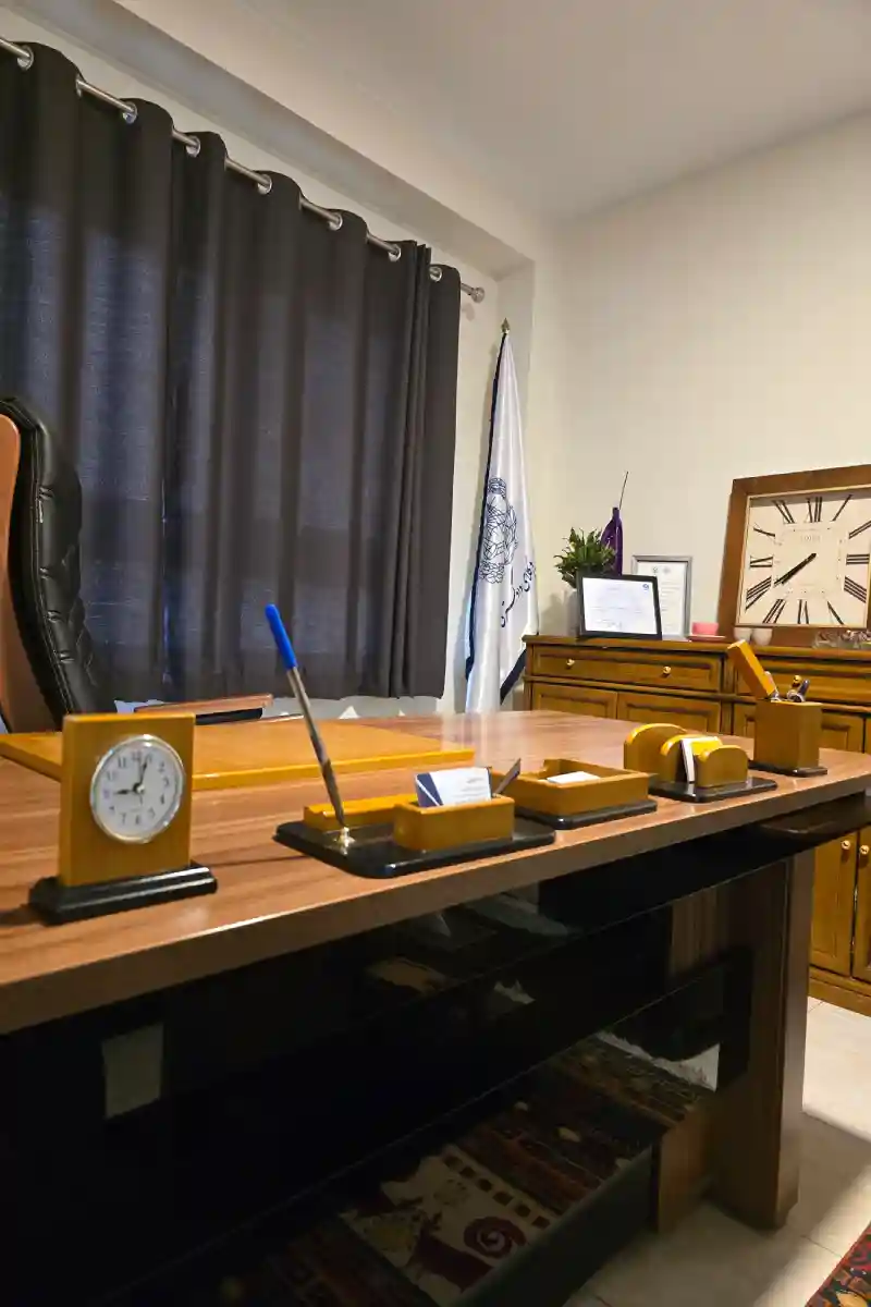 وکیل پایه یک دینا حقیقی